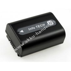 Akku fr Video Sony HDR-TG1 700mAh