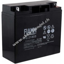 FIAMM Ersatzakku fr USV APC Smart-UPS 2200