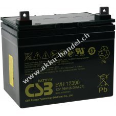 CSB Bleiakku EVH12390 12V 39Ah zyklenfest