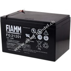 FIAMM Ersatzakku fr Peg Perego / Notstromversorgung (USV) 12V 12Ah (baugleich 14Ah)