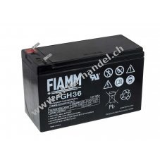 FIAMM Bleiakku FGH20902 (hochstromfest)