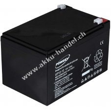 Powery Blei-Gel Akku 12Ah 12V ersetzt Panasonic LC-RA1212PG