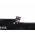 Akku f�r Laptop Lenovo ThinkPad X1 Carbon 2016 / ThinkPad X1 Yoga / Typ SB10F46466